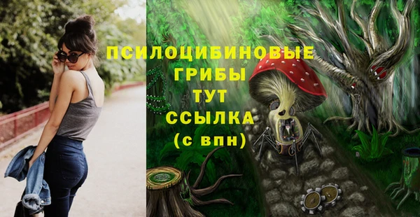 дживик Медвежьегорск