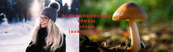 дживик Медвежьегорск
