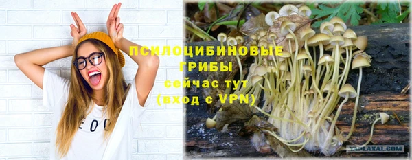 амф Михайлов
